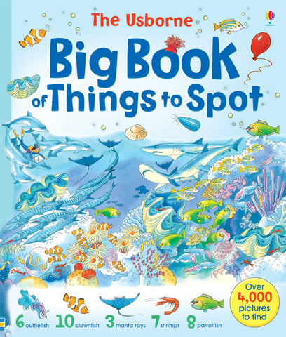 Big Book of Things to Spot (1001 Things to Spot) - Paperback