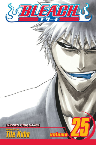 Bleach #25 - Paperback