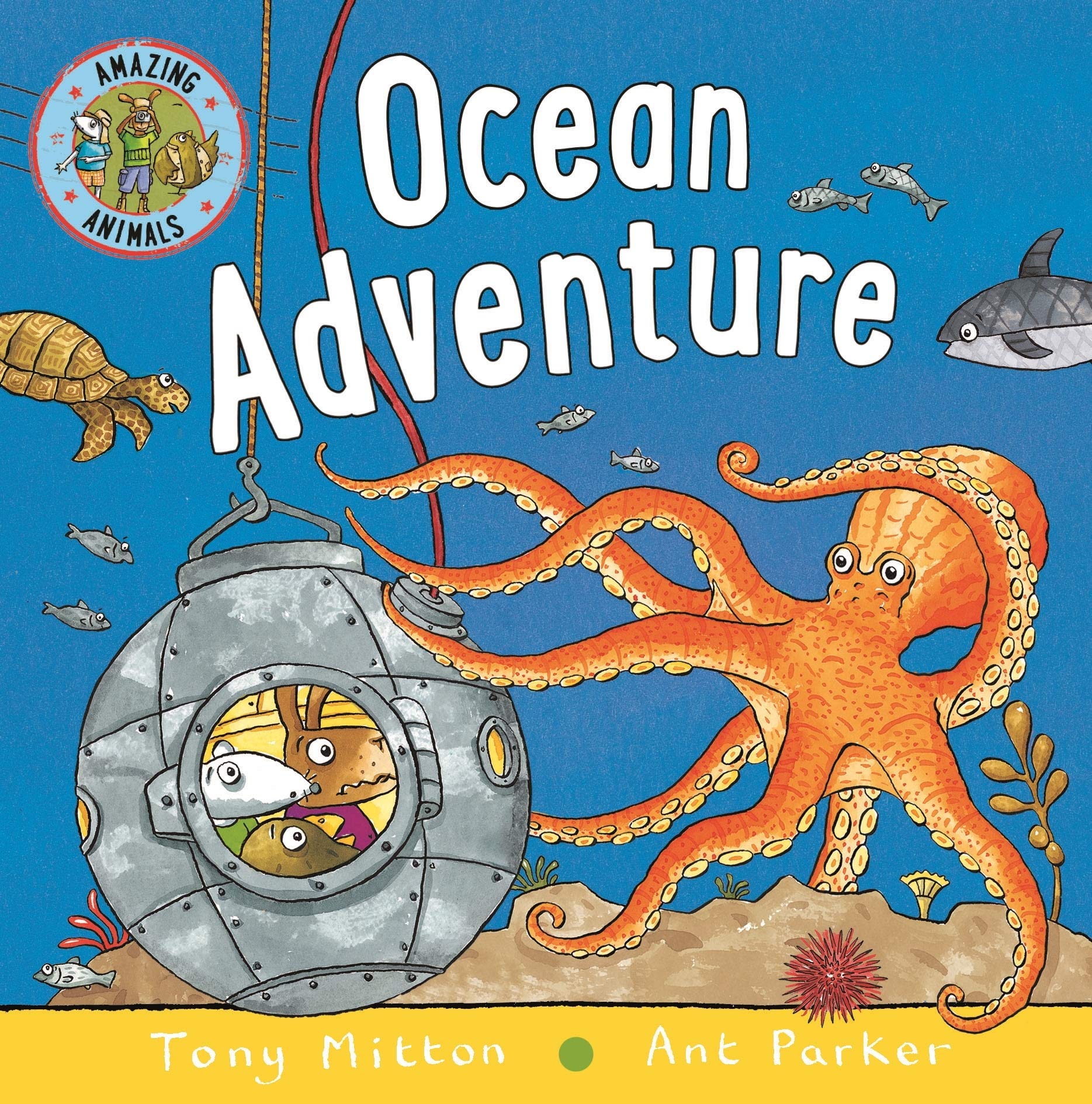 Amazing Animals: Ocean Adventure - Boardbook