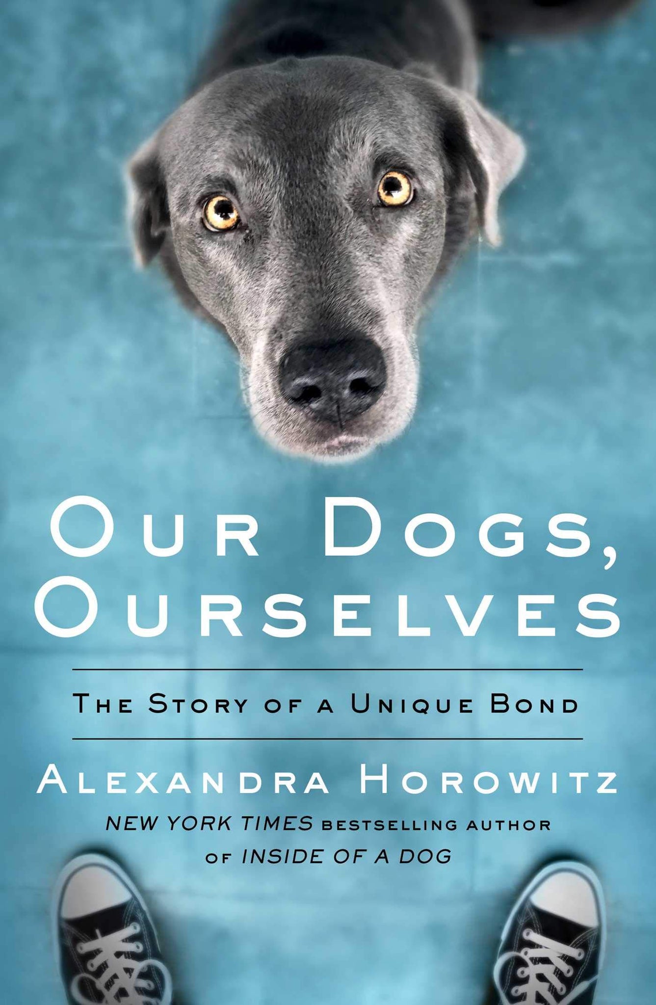 Our Dog, Ourselves - Paperback