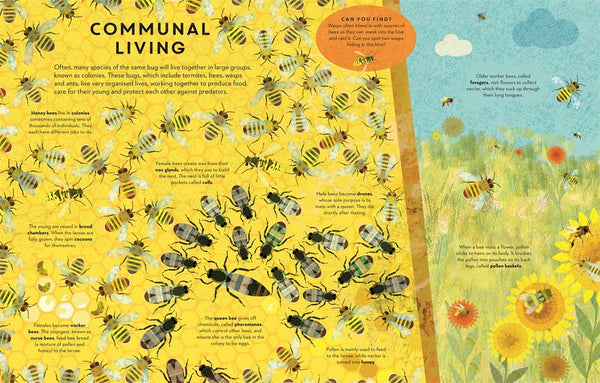 There are Bugs Everywhere - Hardback