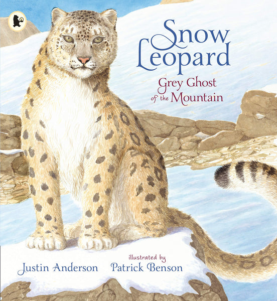 Snow Leopard: Grey Ghost of the Mountain - Paperback