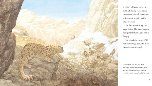Snow Leopard: Grey Ghost of the Mountain - Paperback