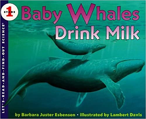 Let's Read and Find Out Science lev-1 : Baby Whales Drink Milk - Kool Skool The Bookstore