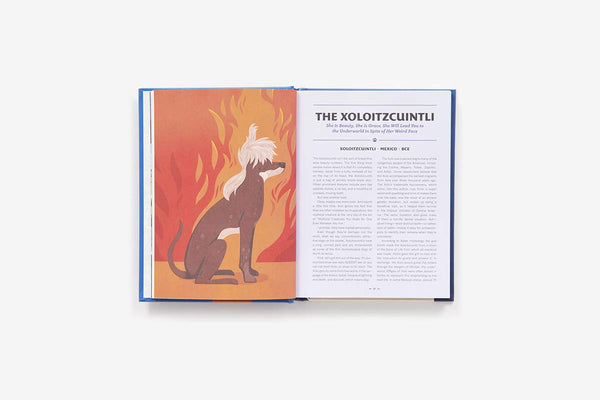 The History Of The World In Fifty Dogs - Hardback
