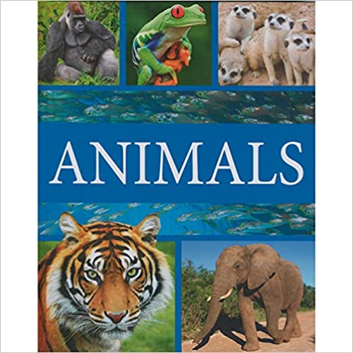 Animals - Hardback