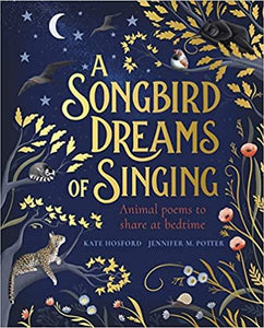 A Songbird Dreams of Singing - Kool Skool The Bookstore