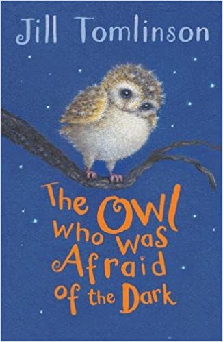 The Owl who was Afraid of the Dark - Kool Skool The Bookstore