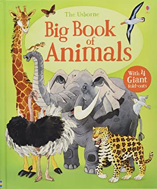 Big Book of Animals - Hardback