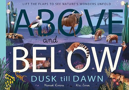 Above and Below: Dusk till Dawn: Lift the flaps to see nature's wonders unfold - Hardback