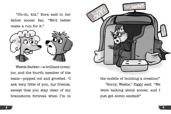 Rider Woofson #6 : The Soccer Ball Monster Mystery  - Paperback