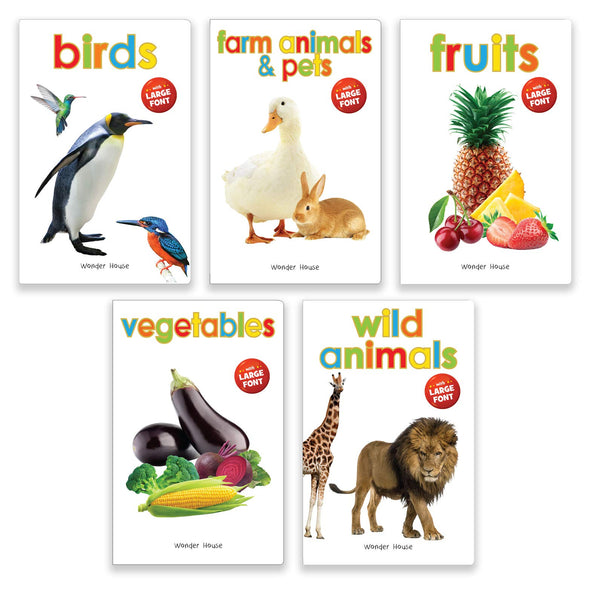 Early Learning Library Pack 2 : Box Set of 5 Books