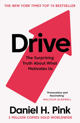 Drive: The Surprising Truth About What Motivates Us - Paperback