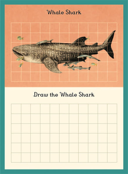 Oceanarium Activity - Paperback