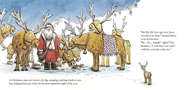 Tiny Reindeer - Paperback
