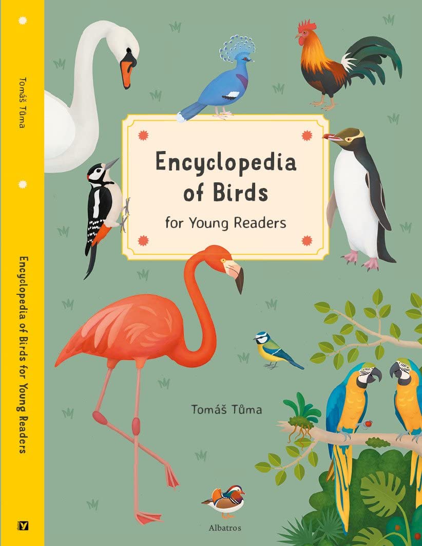 Encyclopedia Of Birds - Hardback