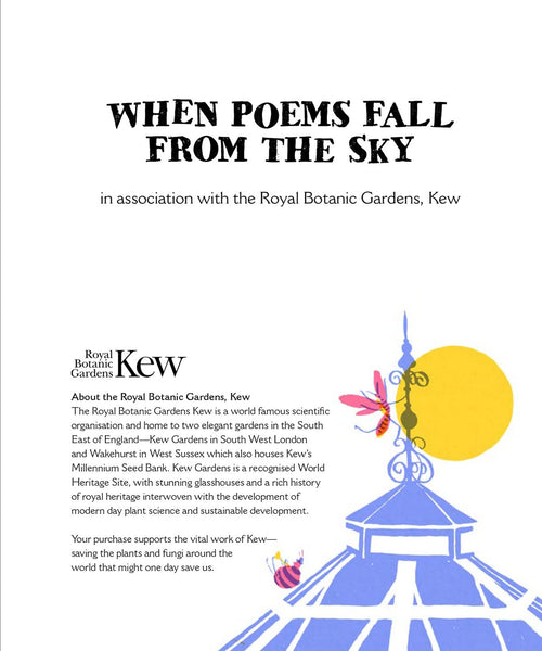 When Poems Fall From The Sky - Paperback