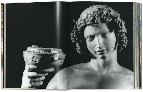 Michelangelo : The Complete Works (Paintings, Sculptures, Architecture) - Hardback