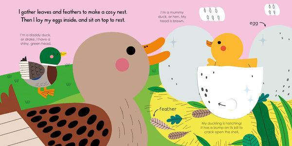 My Little Green World #8 : Duck - Board Book
