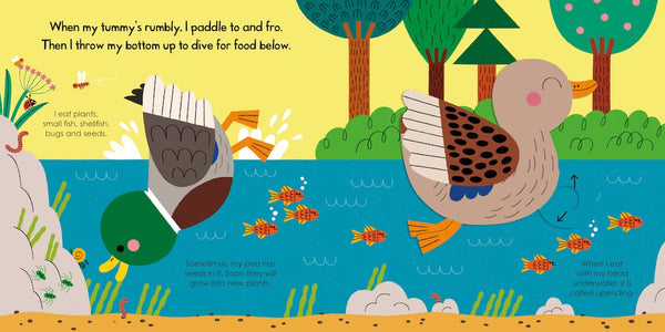 My Little Green World #8 : Duck - Board Book
