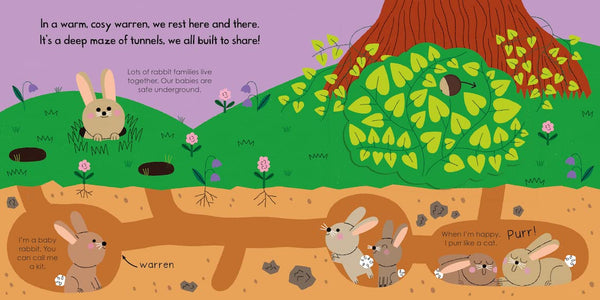 My Little Green World #6 : Rabbit - Board Book