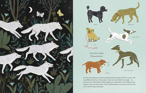On The Origin of Species - Paperback