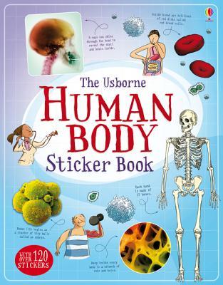 Usborne Human Body Sticker Book - Paperback