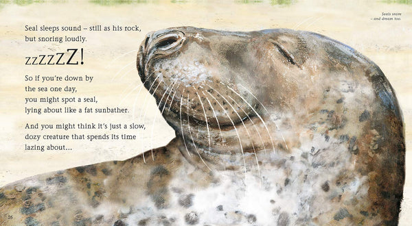 See What a Seal Can Do - Paperback