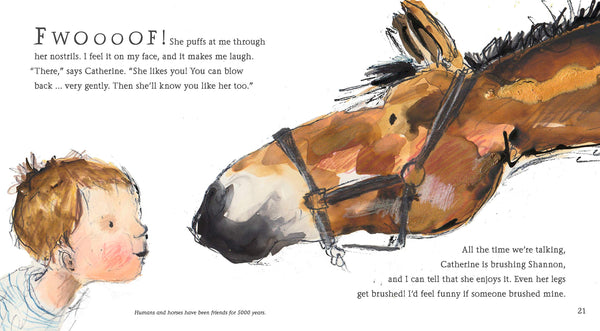 Hello, Horse - Paperback