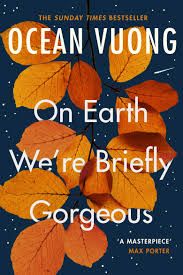 On Earth We're Briefly Gorgeous - Paperback