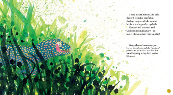 Gecko - Hardback