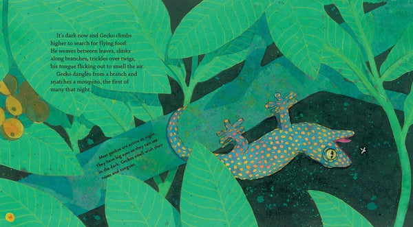 Gecko - Hardback