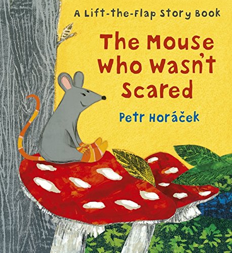 The Mouse Who Wasn't Scared - Hardback