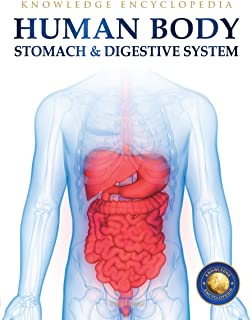 Human Body - Stomach And Digestive System - Paperback