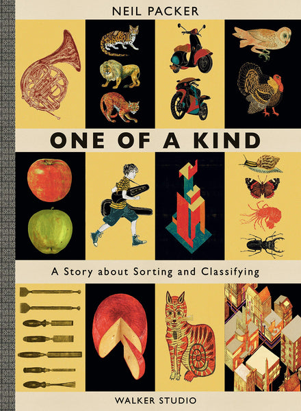 One of a Kind: A Story About Sorting and Classifying - Hardback
