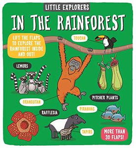 Little Explorers: In the Rainforest - Hardback