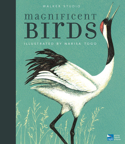 Magnificent Birds  - Hardback