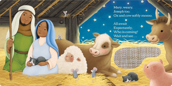 Christmas in the Stable - Board Book