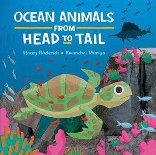 Ocean Animals from Head to Tail - Hardback