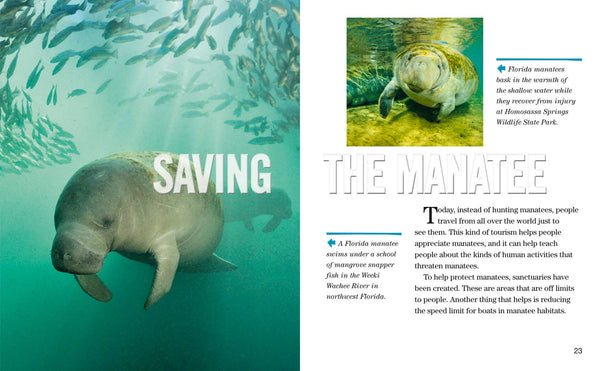 Face to Face with Manatees: Level 5 (National Geographic Readers) - Paperback