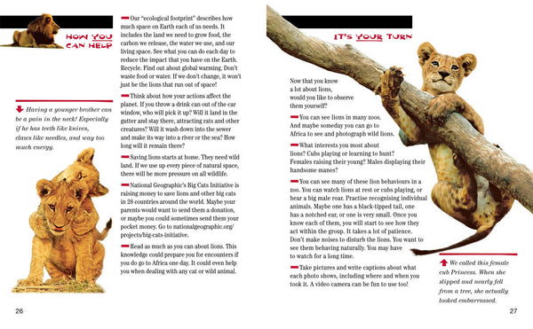 Face to Face with Lions: Level 5 (National Geographic Readers) - Paperback