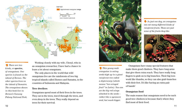 Face to Face with Orangutans: Level 5 (National Geographic Readers) - Paperback