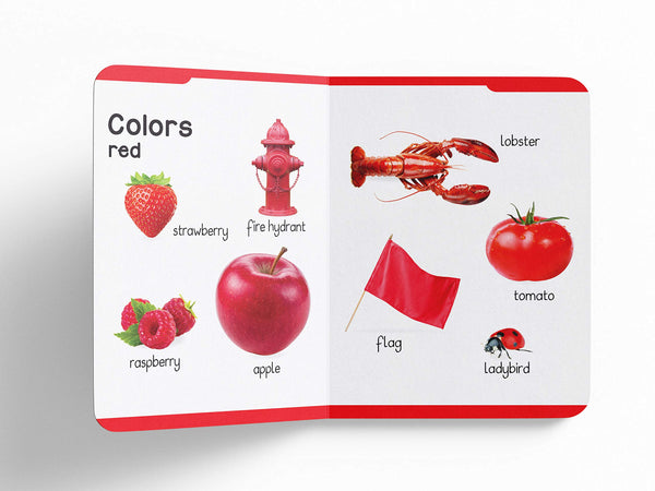 Early Learning Padded Book of Colors and Shapes - Board Book