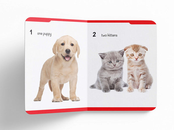 Early Learning Padded Book of Numbers - Board Book