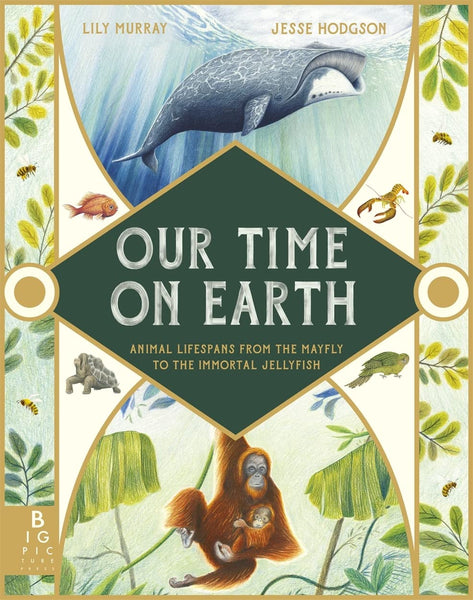 Our Time On Earth : From The Mayfly To The Immortal Jellyfish - Hardback