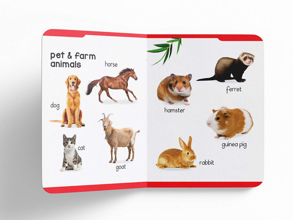 Early Learning Padded Book of Animals - Board Book