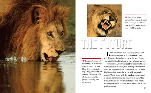 Face to Face with Lions: Level 5 (National Geographic Readers) - Paperback