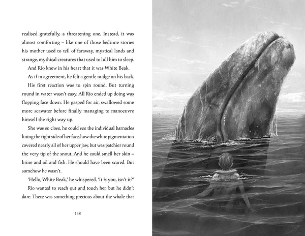 The Lost Whale - Hardback
