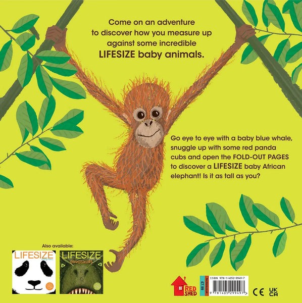 Lifesize Baby Animals - Paperback