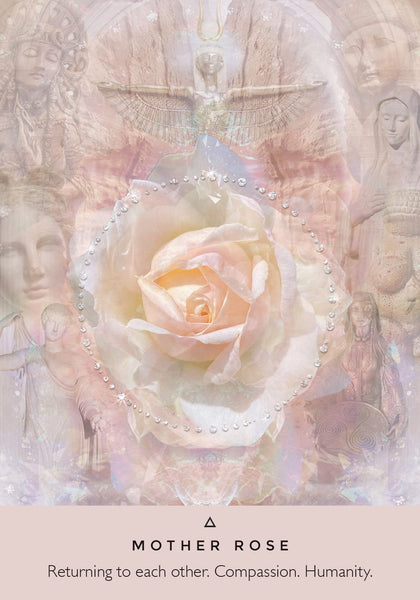 The Rose Oracle : A 44-Card Deck and Guidebook Cards - Cards